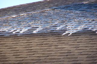 Roof Cleaning Process 